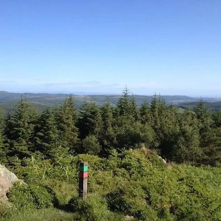 Bowkerstead Grizedale Forest & Satterthwaite *