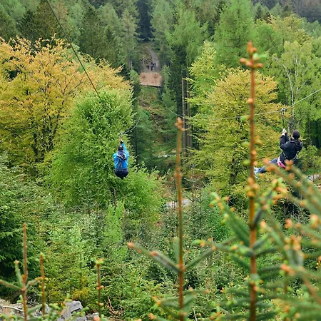 Bowkerstead Grizedale Forest & Satterthwaite Feriehus *