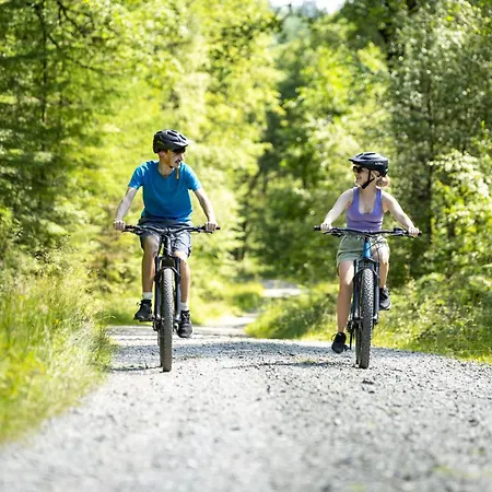 Bowkerstead Grizedale Forest & Satterthwaite Feriehus Ulverston